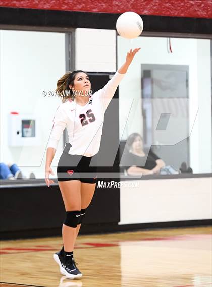 Thumbnail 1 in Gustine @ Strawn photogallery.