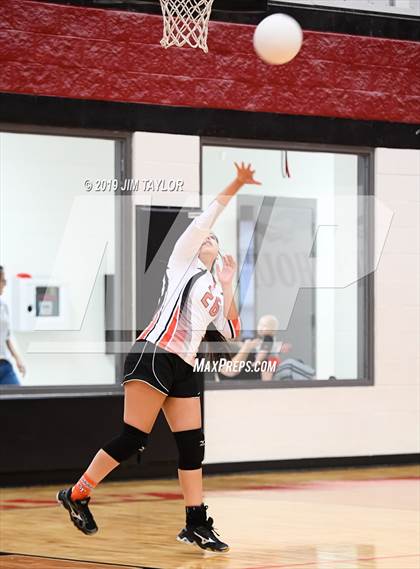 Thumbnail 1 in Gustine @ Strawn photogallery.