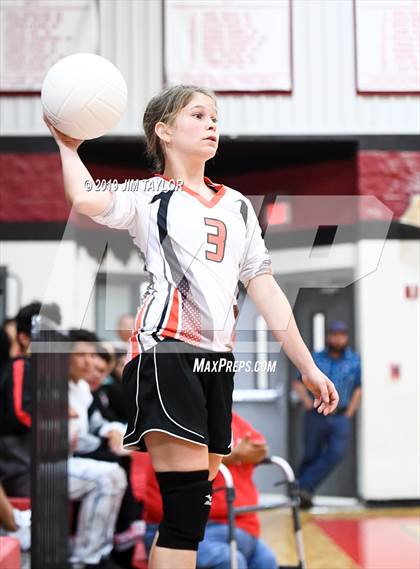 Thumbnail 3 in Gustine @ Strawn photogallery.