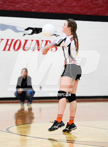 Thumbnail 2 in Gustine @ Strawn photogallery.