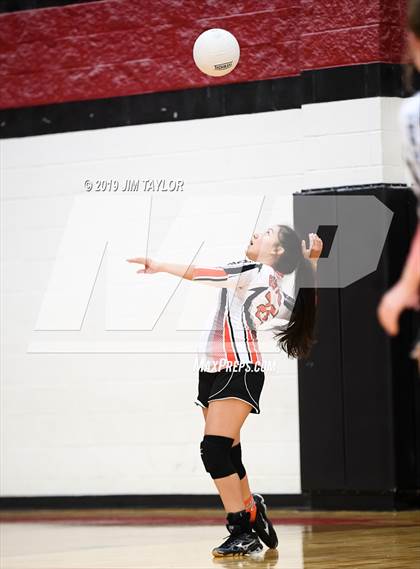Thumbnail 2 in Gustine @ Strawn photogallery.