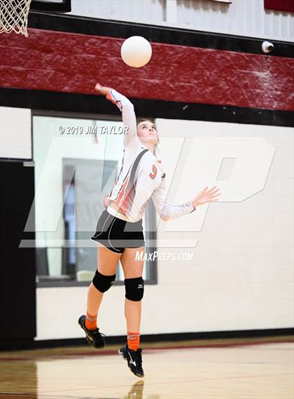 Thumbnail 1 in Gustine @ Strawn photogallery.