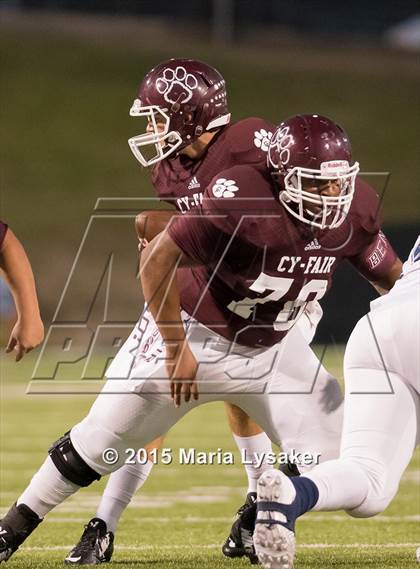 Thumbnail 3 in Cy-Ridge @ Cy-Fair photogallery.