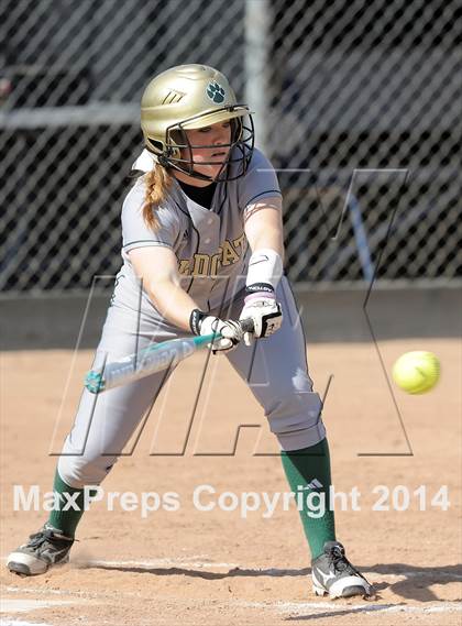 Thumbnail 1 in Brea Olinda @ Villa Park photogallery.