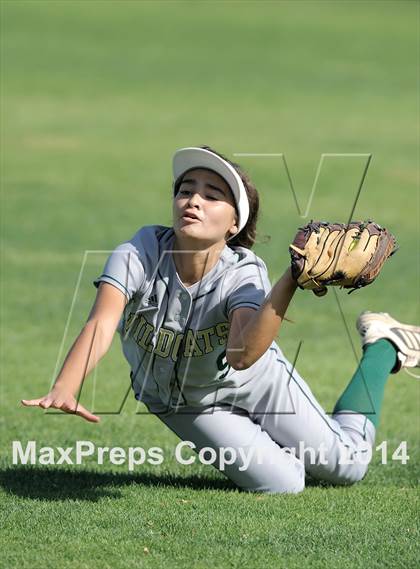 Thumbnail 3 in Brea Olinda @ Villa Park photogallery.