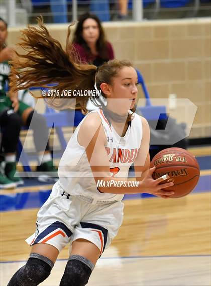 Thumbnail 3 in Reagan [Ronald] vs Brandeis photogallery.
