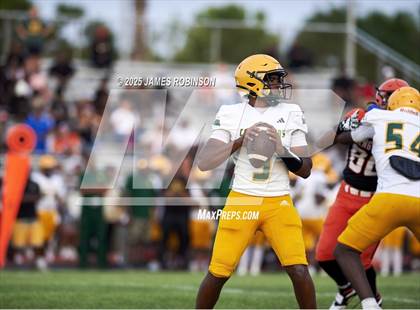 Thumbnail 3 in ED White @ Orange Park (Spring Game) photogallery.