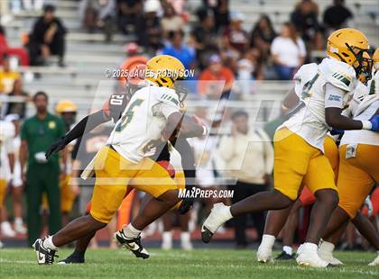 Thumbnail 2 in ED White @ Orange Park (Spring Game) photogallery.