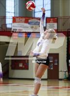 Photo from the gallery "Leo @ Fort Wayne North Side"