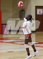 Photo from the gallery "Leo @ Fort Wayne North Side"