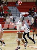 Photo from the gallery "Leo @ Fort Wayne North Side"