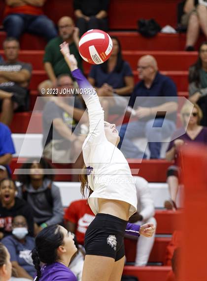 Thumbnail 2 in Leo @ Fort Wayne North Side photogallery.