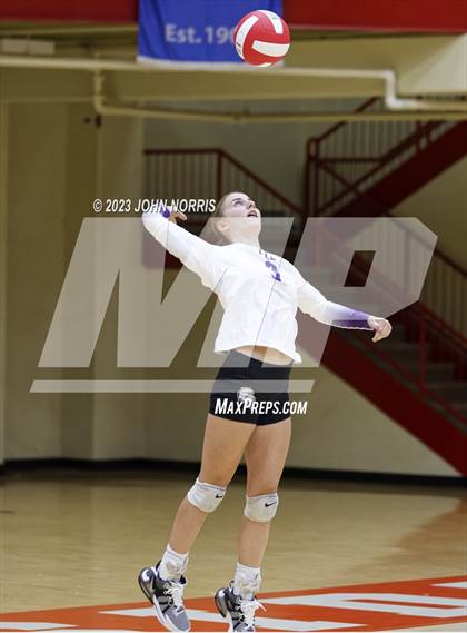 Thumbnail 2 in Leo @ Fort Wayne North Side photogallery.