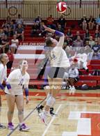Photo from the gallery "Leo @ Fort Wayne North Side"