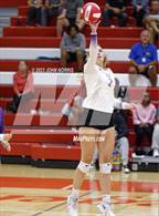 Photo from the gallery "Leo @ Fort Wayne North Side"