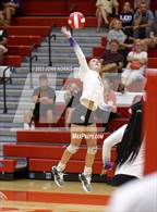 Photo from the gallery "Leo @ Fort Wayne North Side"