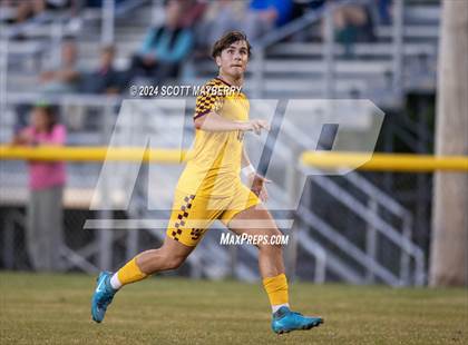 Thumbnail 1 in Wooster @ Walsh Jesuit photogallery.