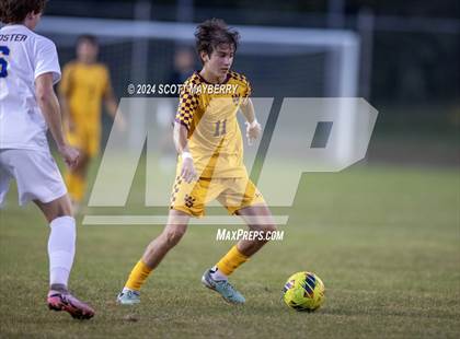 Thumbnail 3 in Wooster @ Walsh Jesuit photogallery.