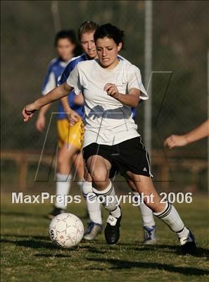 Thumbnail 2 in Terra Linda @ Del Oro photogallery.