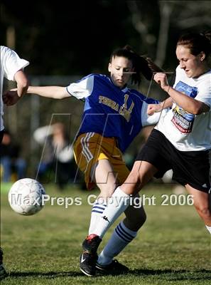 Thumbnail 3 in Terra Linda @ Del Oro photogallery.