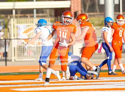 Thumbnail 2 in Krum @ Celina (JV Orange) photogallery.
