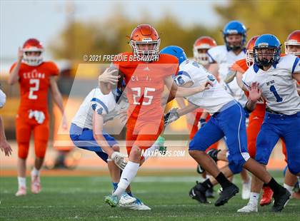 Thumbnail 3 in Krum @ Celina (JV Orange) photogallery.