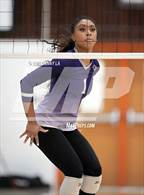 Photo from the gallery "Chantilly @ Westfield"