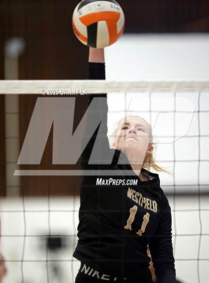 Thumbnail 2 in Chantilly @ Westfield photogallery.