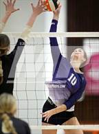 Photo from the gallery "Chantilly @ Westfield"