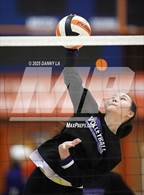 Photo from the gallery "Chantilly @ Westfield"