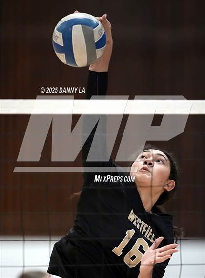 Thumbnail 2 in Chantilly @ Westfield photogallery.