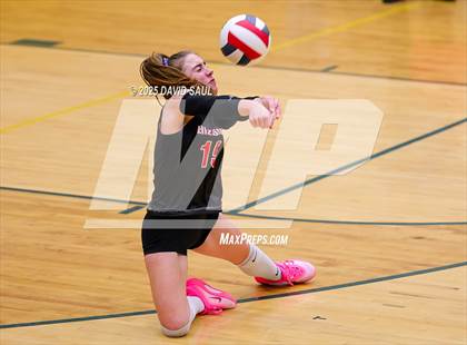 Thumbnail 3 in Elizabeth @ Falcon photogallery.