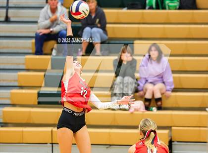 Thumbnail 3 in Elizabeth @ Falcon photogallery.