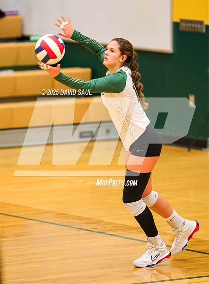 Thumbnail 3 in Elizabeth @ Falcon photogallery.