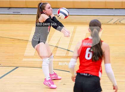 Thumbnail 3 in Elizabeth @ Falcon photogallery.