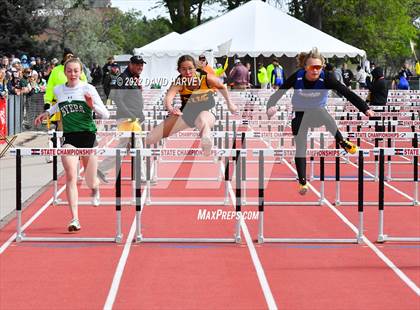 Thumbnail 3 in Girls State Championship  photogallery.