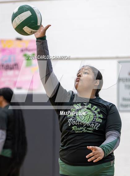Thumbnail 1 in Belton @ Ellison photogallery.