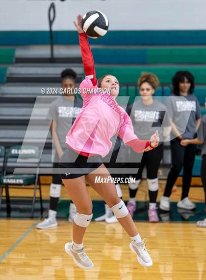 Thumbnail 1 in Belton @ Ellison photogallery.