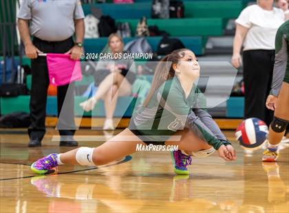 Thumbnail 2 in Belton @ Ellison photogallery.