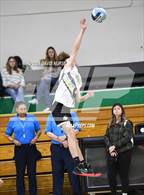 Photo from the gallery "Quartz Hill @ Palmdale"
