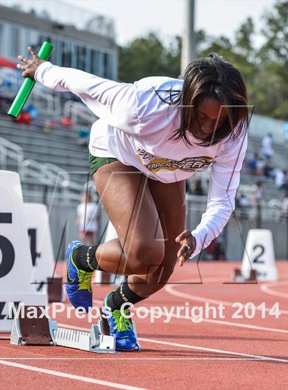 Thumbnail 1 in Fulton County Championship (Girls) photogallery.
