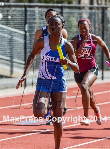 Thumbnail 2 in Fulton County Championship (Girls) photogallery.