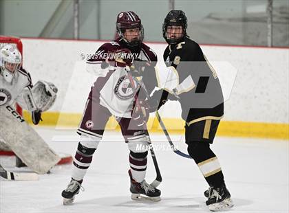 Thumbnail 2 in Trumbull @ North Haven photogallery.