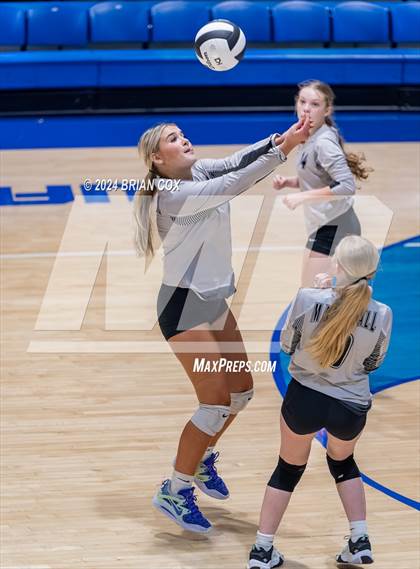 Thumbnail 2 in Marshall @ Cotter photogallery.
