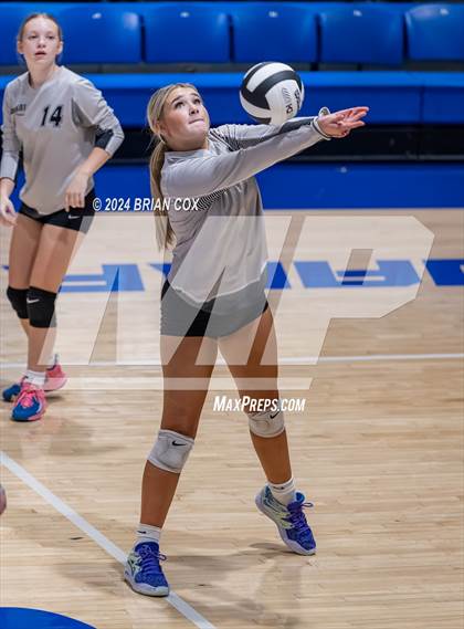 Thumbnail 2 in Marshall @ Cotter photogallery.