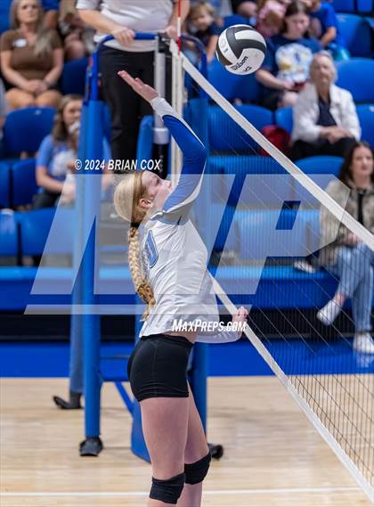 Thumbnail 3 in Marshall @ Cotter photogallery.