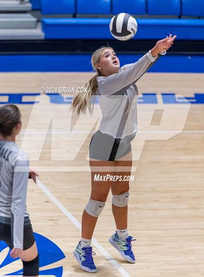 Thumbnail 1 in Marshall @ Cotter photogallery.