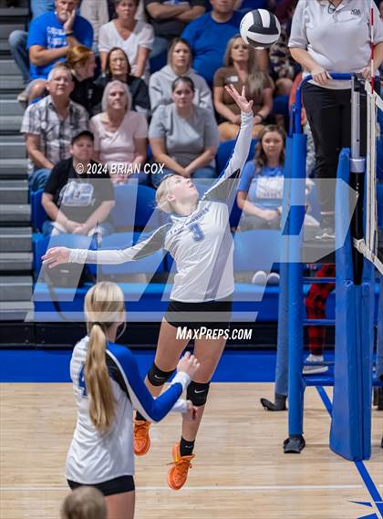 Thumbnail 3 in Marshall @ Cotter photogallery.