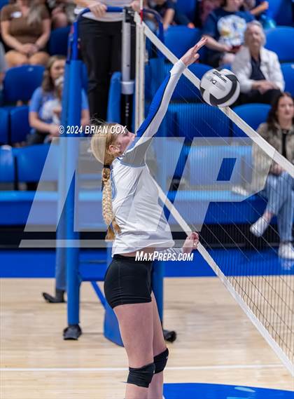 Thumbnail 2 in Marshall @ Cotter photogallery.