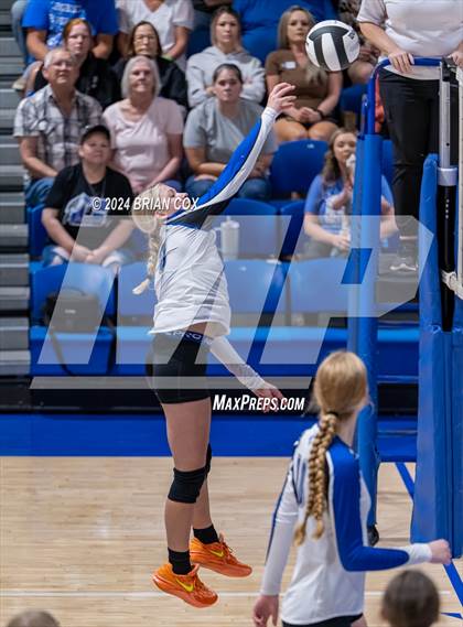 Thumbnail 1 in Marshall @ Cotter photogallery.